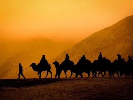 Silhouette camel caravan riders handler sunset orange sky rugged mountains Hunder Nubra Valley Ladakh double hump Bactrian camel safari tour package Diskit Leh perfect cold desert adventure trek