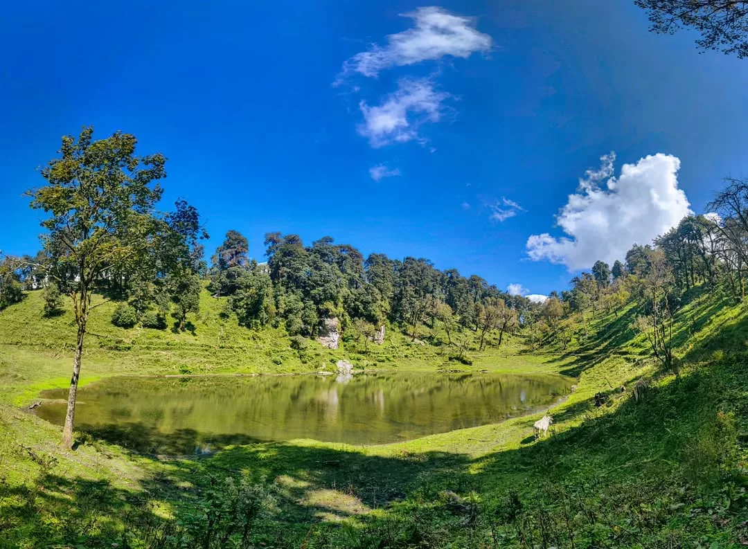 Thamri Kund Munsiyari during clear blue sky day, featuring serene green lake surrounded lush grass meadows dense pine forests rocky hills scattered trees clouds, perfect nature trekking experience Uttarakhand tour packages.
