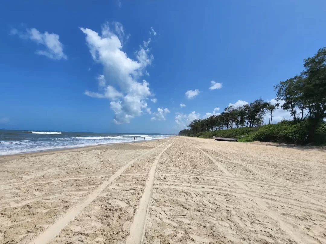 Long sandy stretch Betalbatim Beach Goa sunny afternoon, featuring tire tracks palm trees fluffy clouds crashing waves blue sky, perfect South Goa beach tour package.