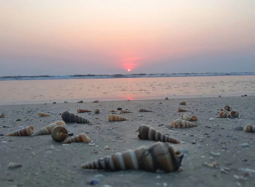 Serene Majorda Beach Goa sunset seashells golden sands, vibrant orange horizon gentle waves cloudy skies, perfect South Goa tranquil coastline beach package.
