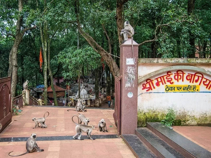 Mai Ki Bagiya