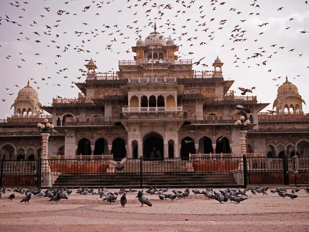 Albert Hall Museum in Jaipur with flocks of pigeons flying around domes and balconies under overcast sky, showcasing grand sandstone architecture and entrance steps, perfect Rajasthan tour package