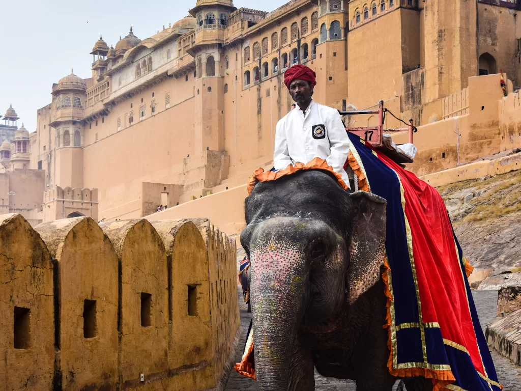 Elephant ride with turbaned mahout approaching Amber Fort entrance in Jaipur Rajasthan decorated elephant in blue red drapes against yellow sandstone walls, perfect Rajasthan tour