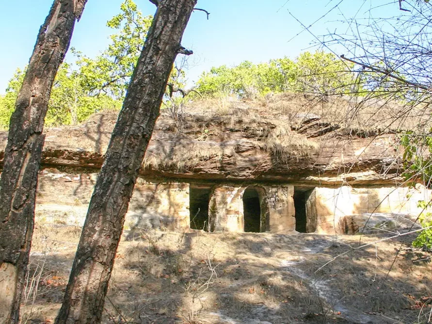 Ancient Caves and Rock Shelters historical site with carved stone chambers and forest surroundings, India tourism attraction