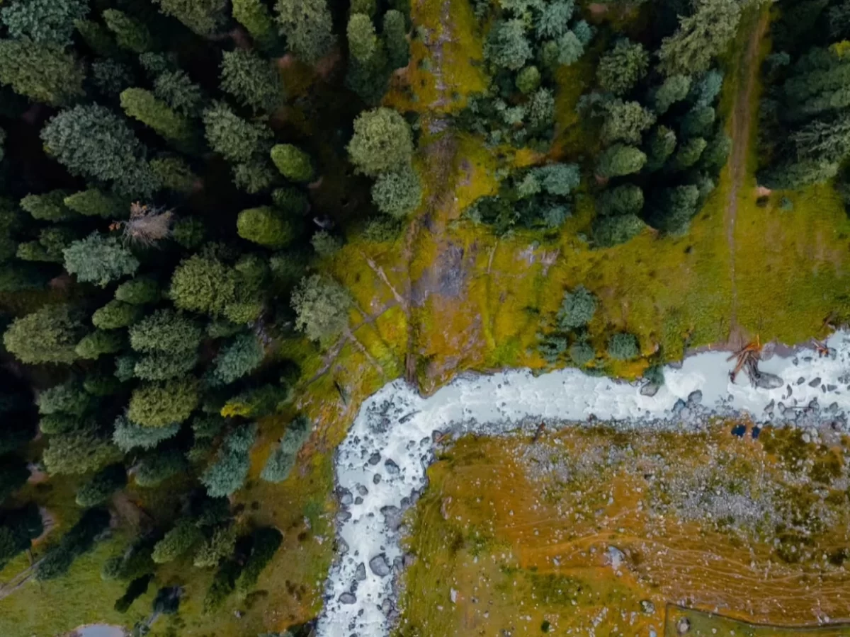 Aru Valley Pahalgam Kashmir foggy aerial silver glacial stream pine forests meadows, green silver birch trails alpine meadows, perfect Jammu Kashmir trekking stream valley package.