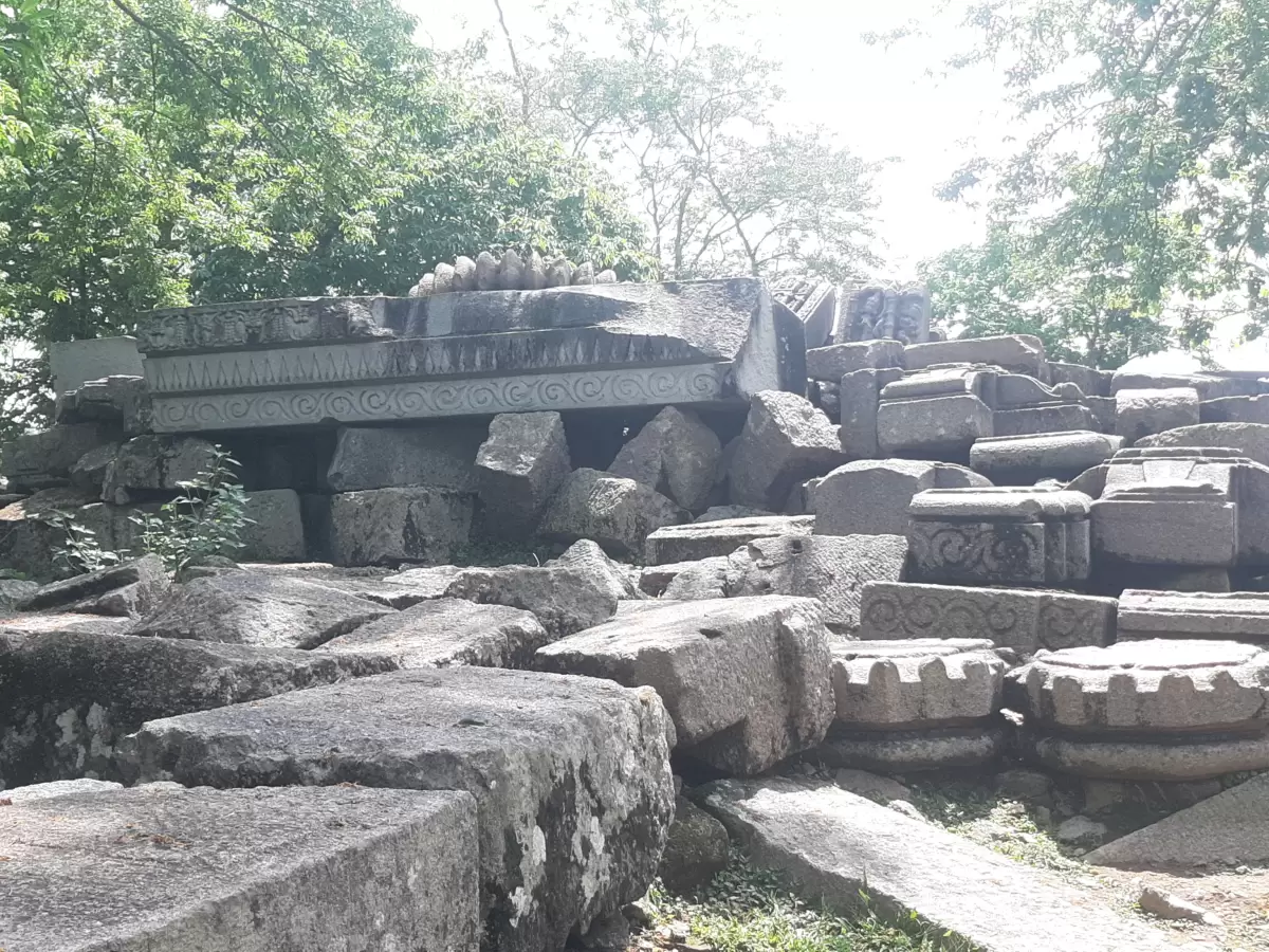 Bamuni Hills Tezpur ancient stone ruins sculpted pillars capitals friezes scattered boulders carvings trees sunlight Chitralekha Udyan park, perfect archaeological site Assam tour packages.