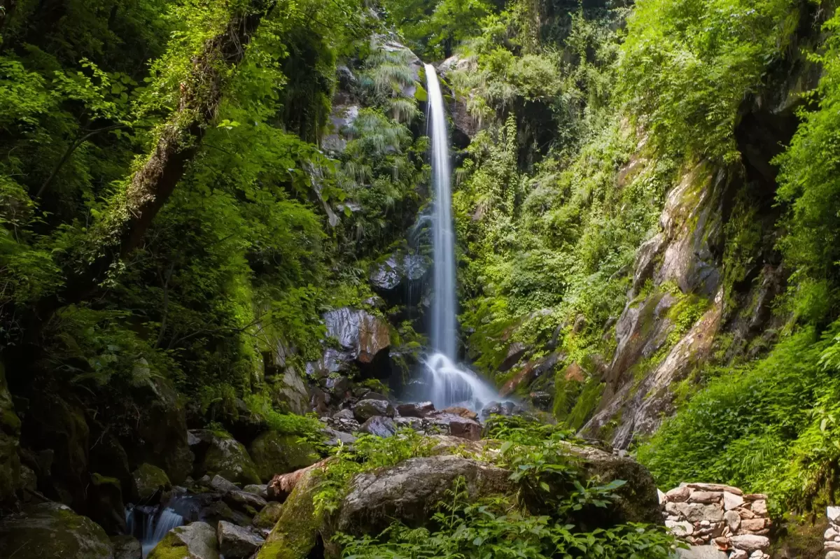 Barshangarh Waterfall Shangarh during sunny day, featuring tall cascade lush green forest rocky cliffs mossy rocks, perfect adventure experience Sainj Valley Himachal tour package.