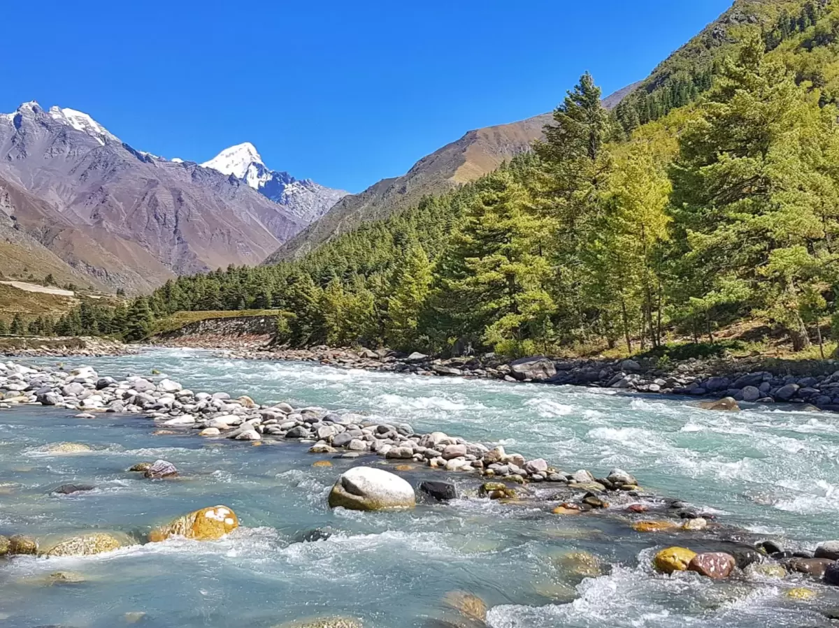 Baspa River Chitkul Village Kinnaur Himachal Pradesh during partly cloudy blue skies, featuring turquoise rapids large colorful boulders pine forested snow-capped Himalayan peaks backdrop, perfect cultural experience Himachal tour package.