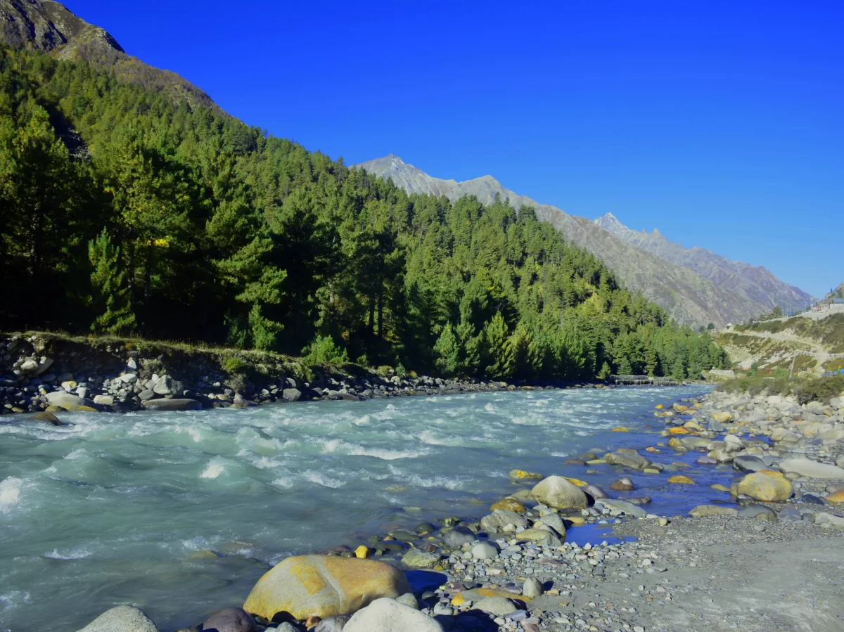 Baspa River Chitkul Village Kinnaur Himachal Pradesh during clear blue skies, featuring turquoise rapids rocky riverbed pine forested snowy Himalayan peaks backdrop, perfect cultural experience Himachal tour package.