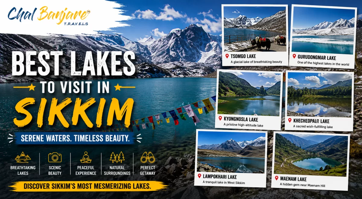 Homepage Banner