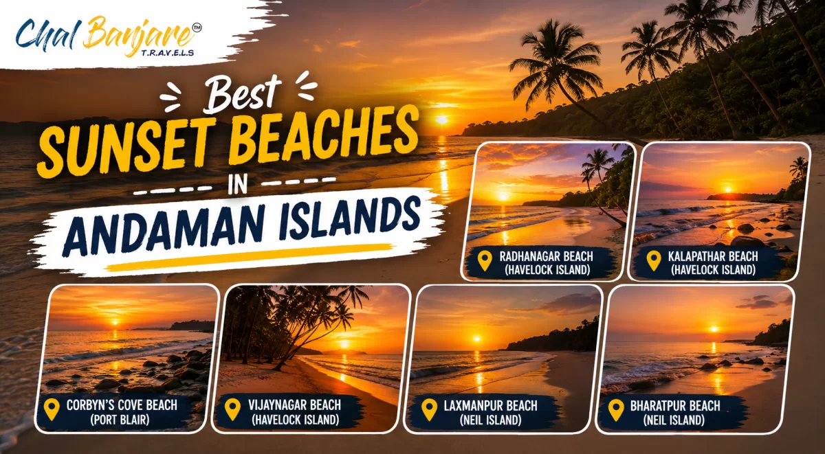 Homepage Banner