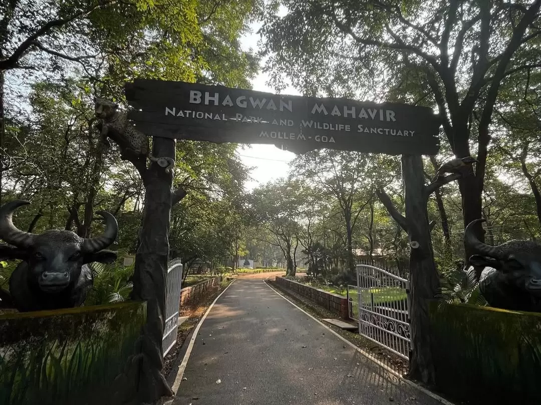 Bhagwan Mahaveer Wildlife Sanctuary Mollem Goa entrance gate surrounded by dense forest and national park signage