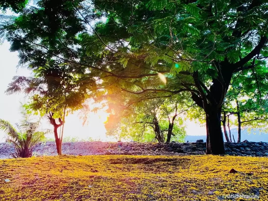 Campal Gardens Panaji Goa scenic park with lush trees, sunset view and landscaped lawns near Mandovi River