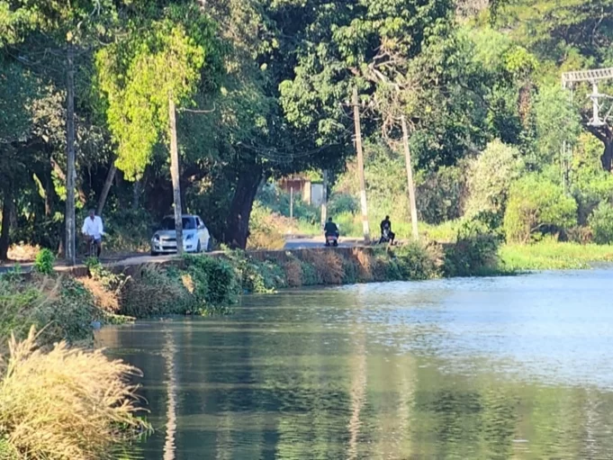 Carambolim Lake Watch Tower Goa birdwatching spot with scenic lake view and lush greenery