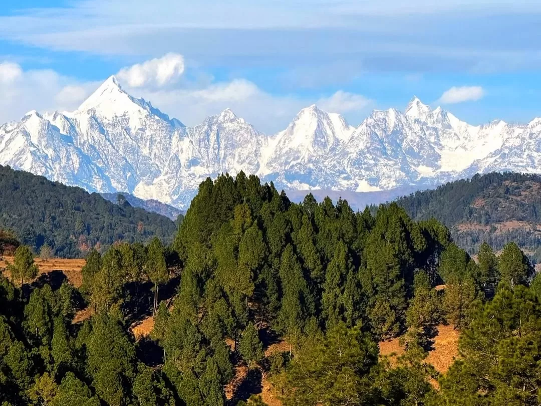 Chandak Hill in Pithoragarh, Uttarakhand offering panoramic views of snow-clad Himalayan peaks above dense pine forests, a scenic viewpoint featured in Uttarakhand tour packages