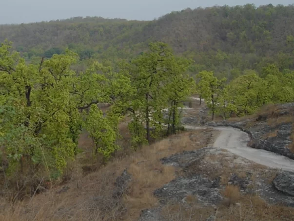 Climber’s Point in Pachmarhi with scenic hill views and forest trails, Madhya Pradesh adventure tourism spot