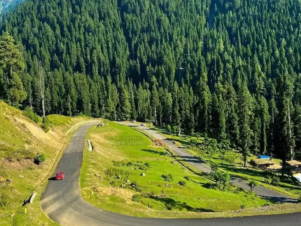 Daksum Kashmir scenic mountain valley with winding road, lush green meadows and dense pine forests in Anantnag