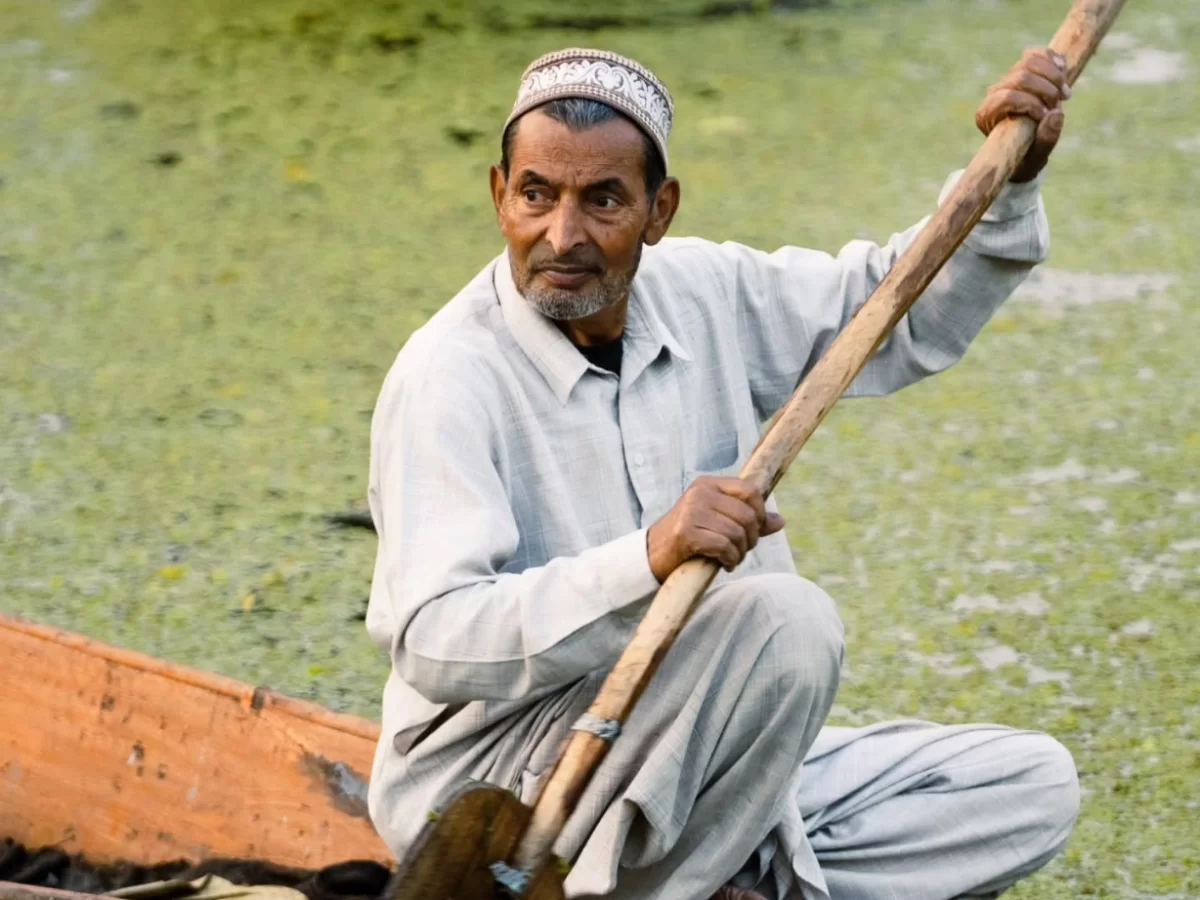 Dal Lake Srinagar Kashmir traditional Kashmiri man lily pad weeds shikara, embroidered topi white kurta paddle serene waters, perfect Jammu Kashmir Dal Lake weed cleaner package.