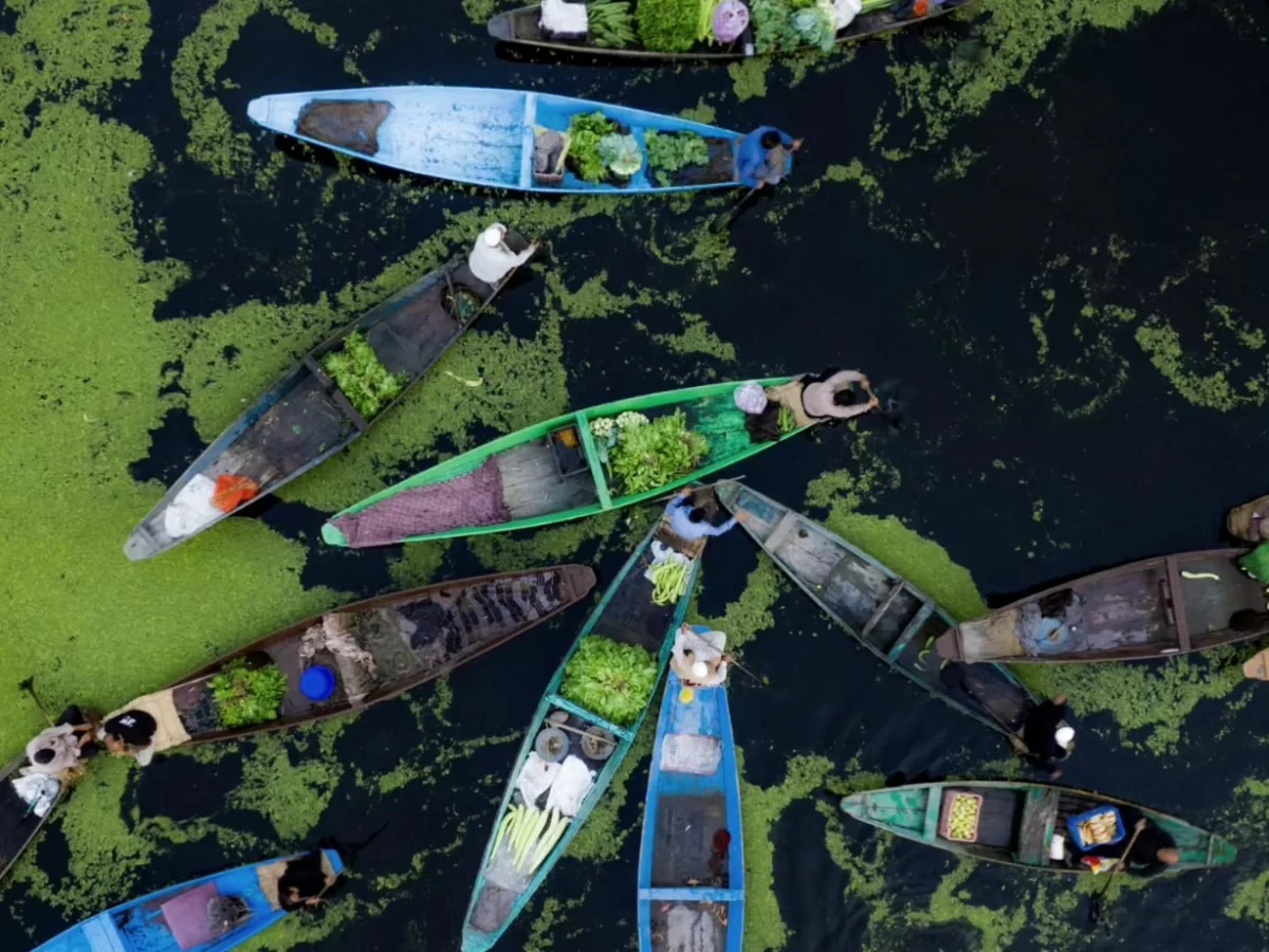 Dal Lake Srinagar Kashmir aerial vegetable vendor shikaras lily pad weeds, colorful boats fresh greens lotus leaves dark waters, perfect Jammu Kashmir Dal Lake market life package.