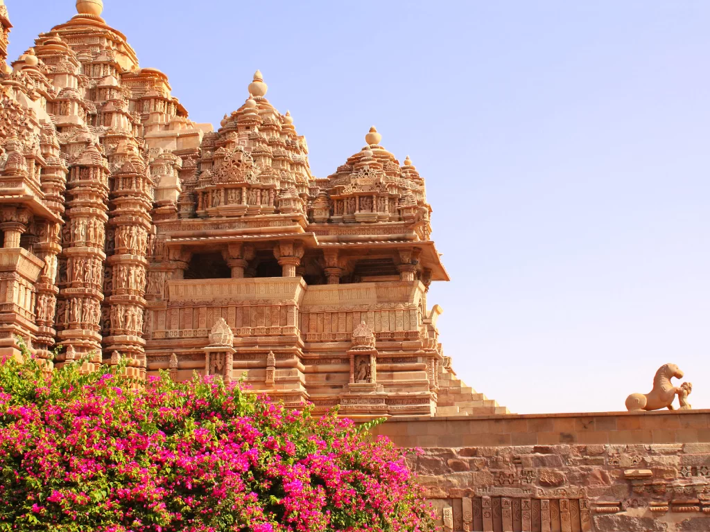 Devi Jagadambi Temple at Khajuraho during clear daylight, featuring sandstone shikhara pink bougainvillea carvings, perfect Madhya Pradesh heritage tour package.