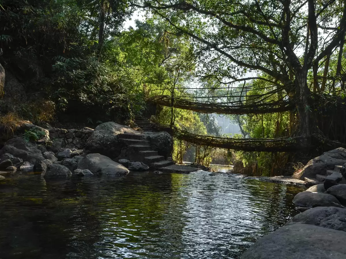 Double Decker Living Root Bridge Cherrapunji during golden hour, featuring woven bamboo root bridges rainforest trees stone steps clear river pool rocks reflections, perfect trekking cultural adventure Cherrapunji Meghalaya tour package.