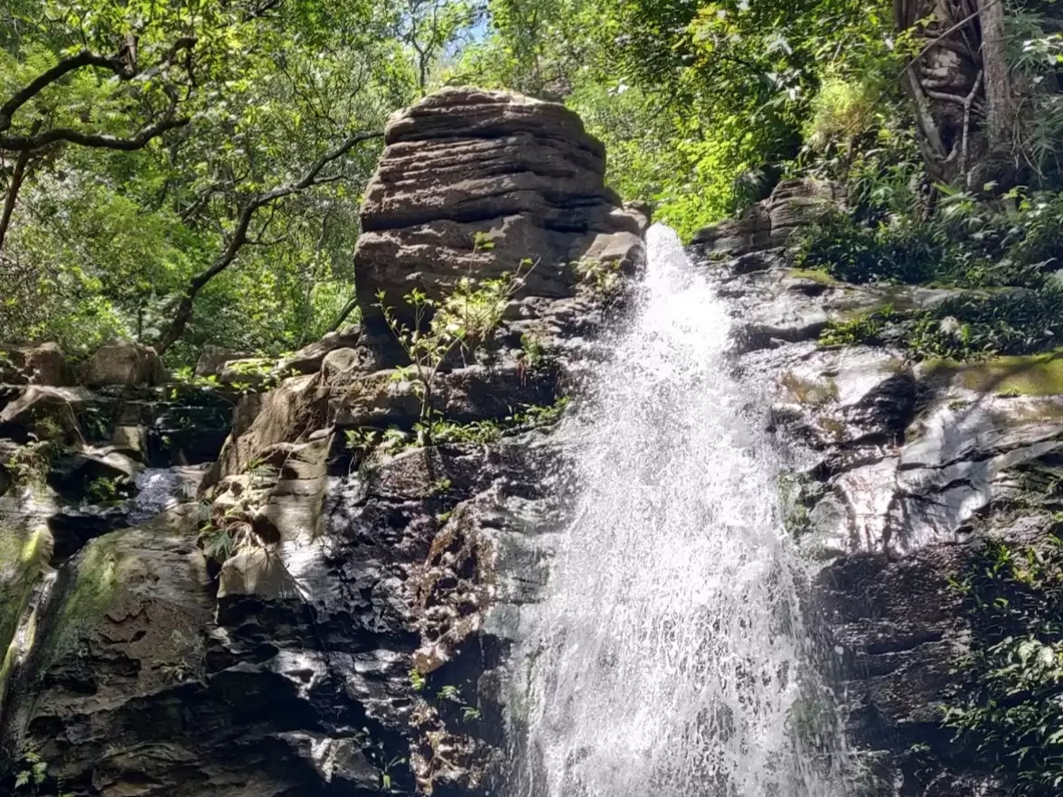 Duchess Falls in Pachmarhi cascading through dense forest and rocky cliffs, Madhya Pradesh nature tourism attraction