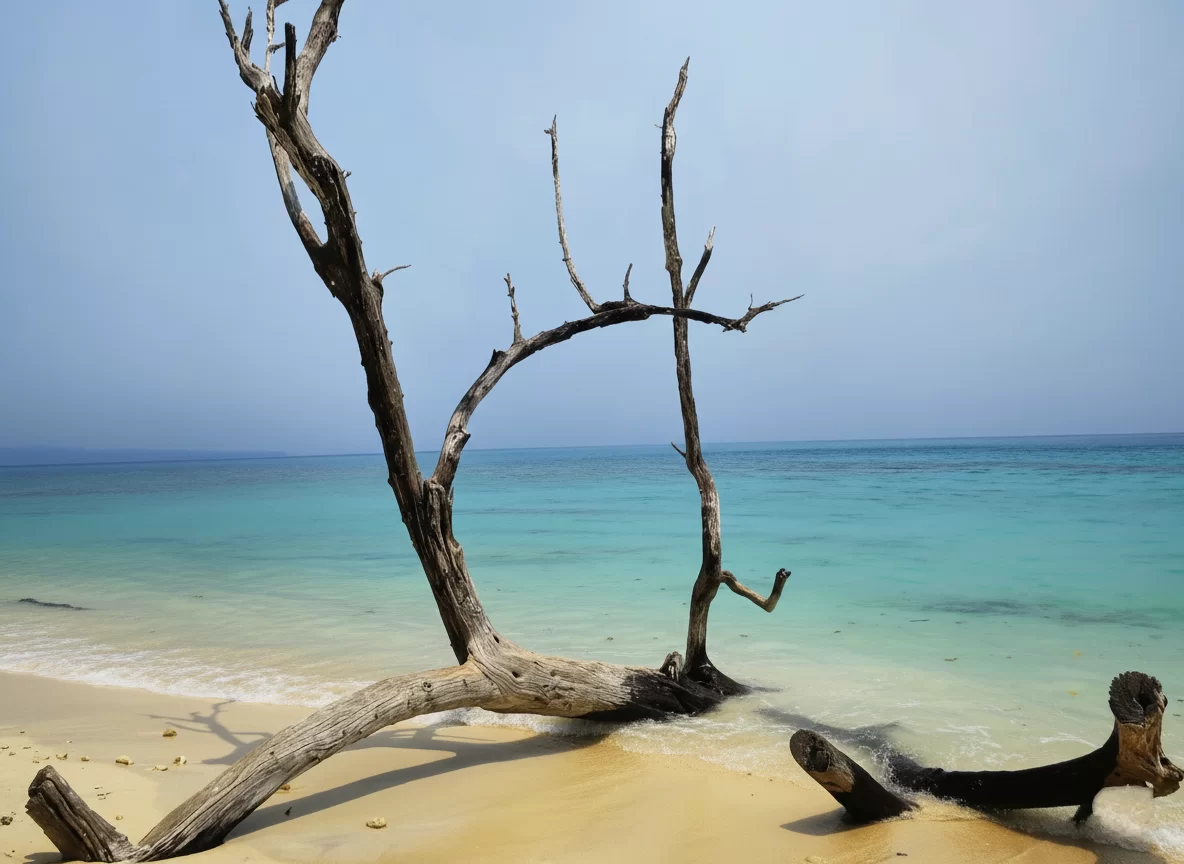 Dramatic driftwood tree framing turquoise lagoon at Elephanta Beach Havelock Island Andaman during clear partly cloudy day, featuring golden sands blue horizon, perfect serene beach paradise Andaman tour package.