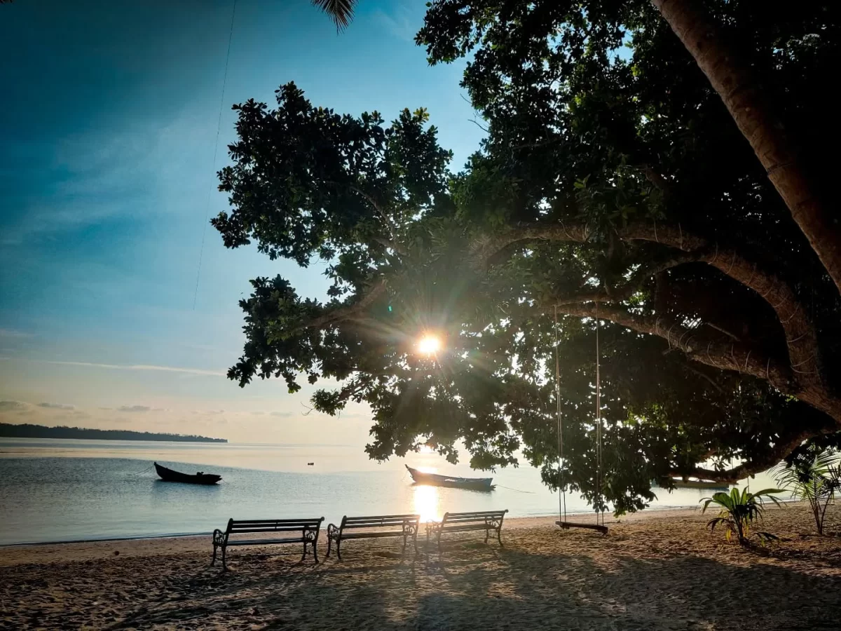 Palm-fringed benches swings sunset at Elephanta Beach Havelock Island Andaman, featuring calm lagoon traditional boats golden hour glow, perfect relaxing beach paradise Andaman tour package.