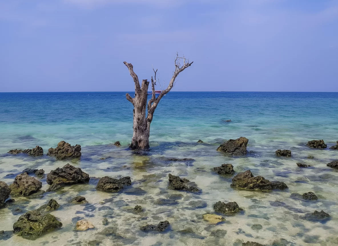 Iconic dead tree amid turquoise shallows rocky shore at Elephanta Beach Havelock Island Andaman during sunny day, featuring vibrant blue waters, perfect postcard tropical beach Andaman tour package