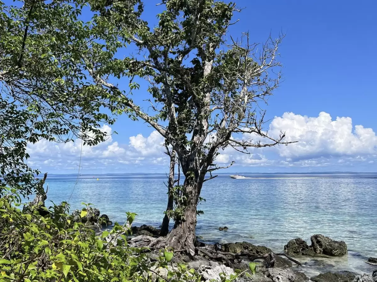 Lush tree framing turquoise bay rocky foreground at Elephanta Beach Havelock Island Andaman during sunny partly cloudy day, featuring distant boat blue horizon, perfect idyllic tropical beach Andaman tour package.