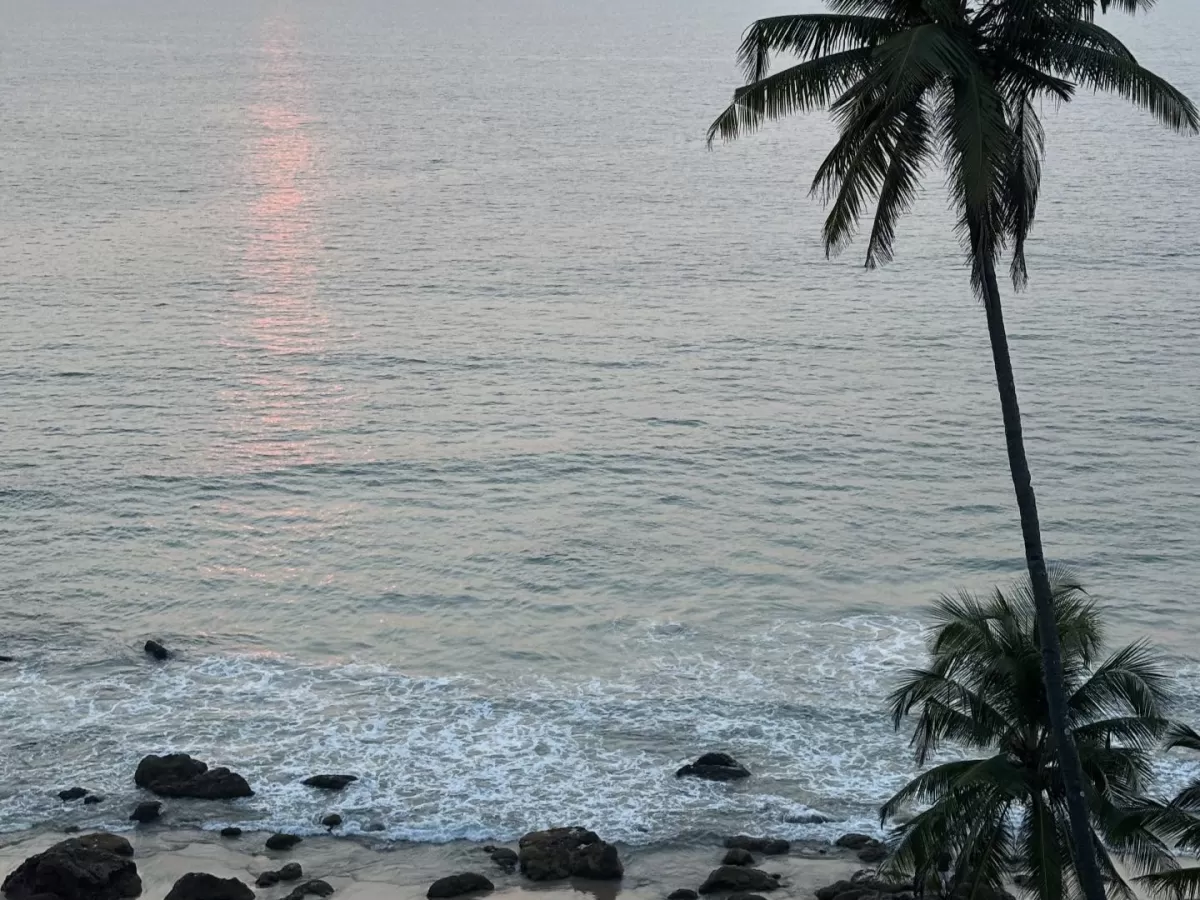 Palm silhouettes sunset calm turquoise sea rocky shore at Elephanta Beach Havelock Island Andaman during golden hour hazy sky, perfect romantic tropical beach Andaman tour package.
