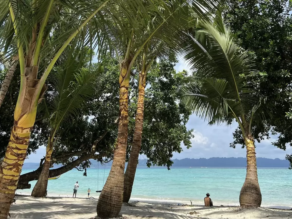 Tall coconut palms swing hammock distant figures turquoise bay at Elephanta Beach Havelock Island Andaman during sunny partly cloudy day, perfect relaxed tropical palm-fringed beach Andaman tour package.