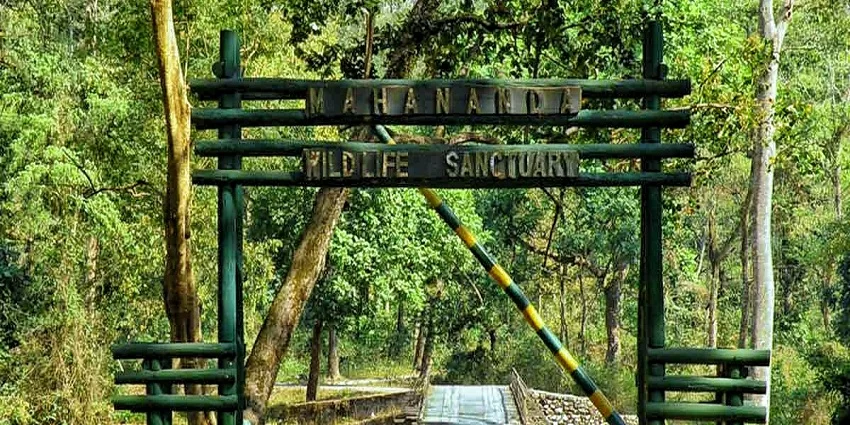Mahananda Wildlife Sanctuary