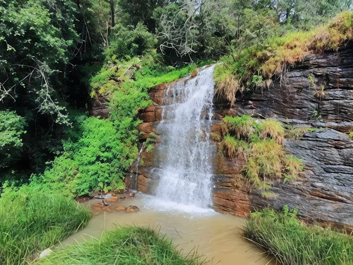 Fairy Falls Kodaikanal lush green forest surrounded single-tier cascading waterfall reddish rocky cliff natural pool grassy edges scenic nature spot Tamil Nadu tour packages.