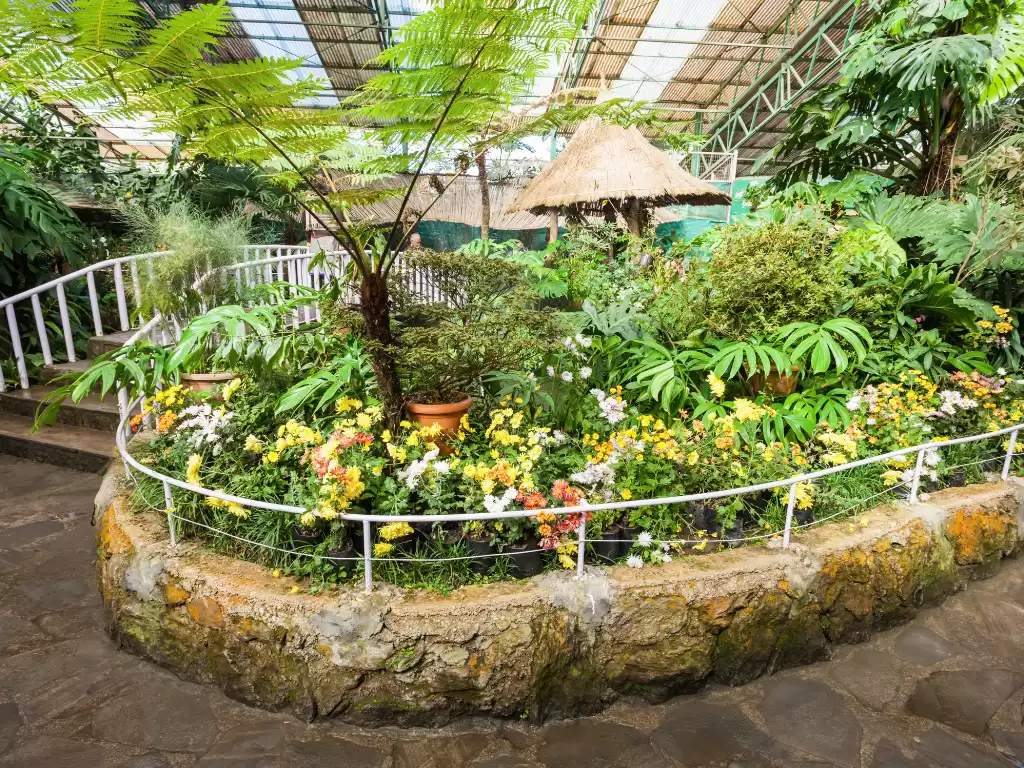Indoor Flower Exhibition Centre in Gangtok during daylight, featuring circular flower bed with orchids and seasonal blooms under greenhouse roof, perfect nature Sikkim tour package.