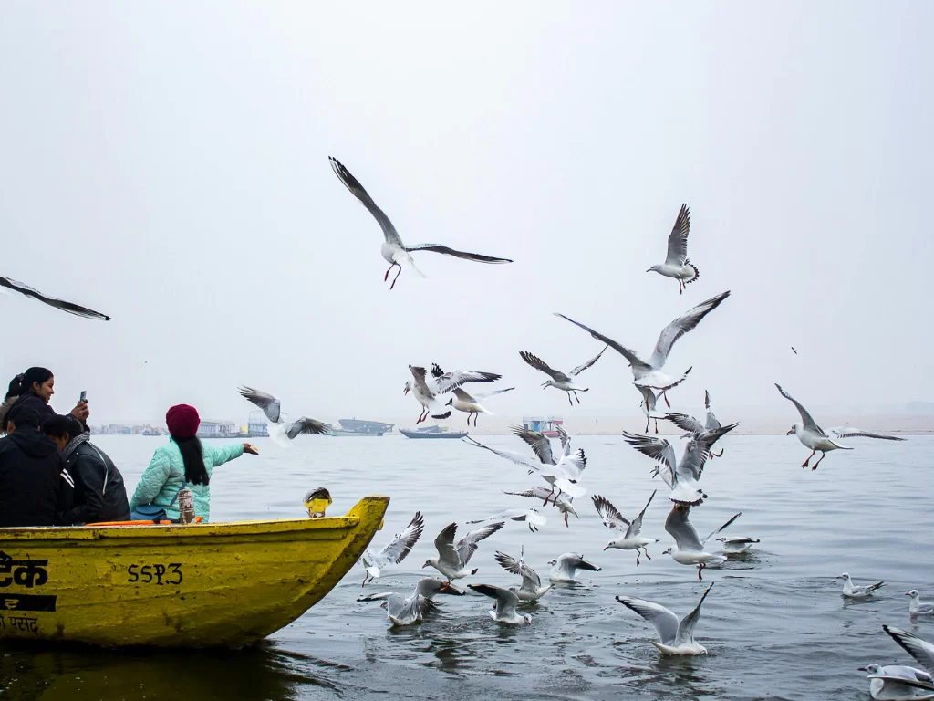 Tourists feeding seagulls on boat at Ganges Varanasi during misty morning, featuring birds river views, perfect adventure Uttar Pradesh tour package.