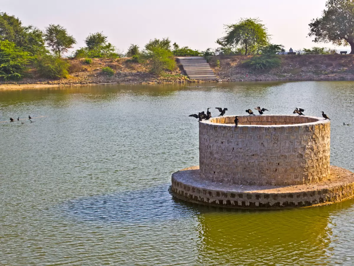 Gopi Talav Dwarka sacred pond with central stone well surrounded by water birds on calm green waters amid arid landscape steps trees, Krishna Gopi legend site perfect for Gujarat tour packages.