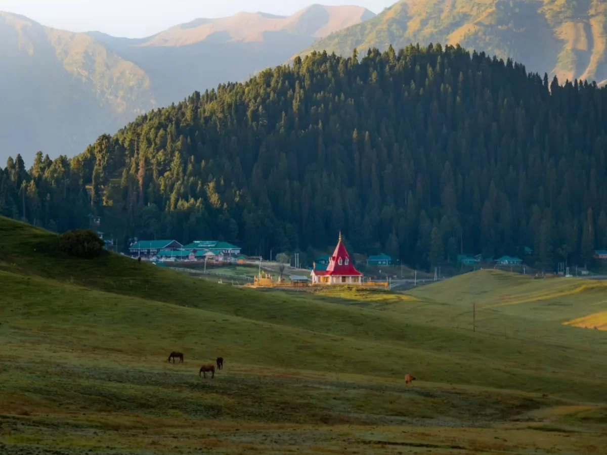 Red-roofed houses at Gulmarg during golden hour sunset, featuring pine mountains and grazing cows, perfect adventure Srinagar tour package.