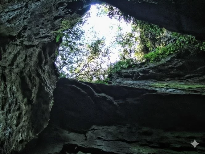 Guna Cave in Kodaikanal featuring deep vertical rock crevices and twisted tree roots amidst misty pine forest greenery.