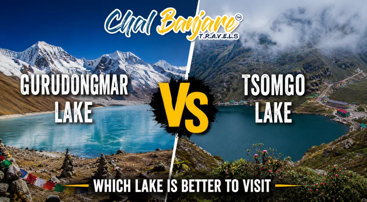 Homepage Banner