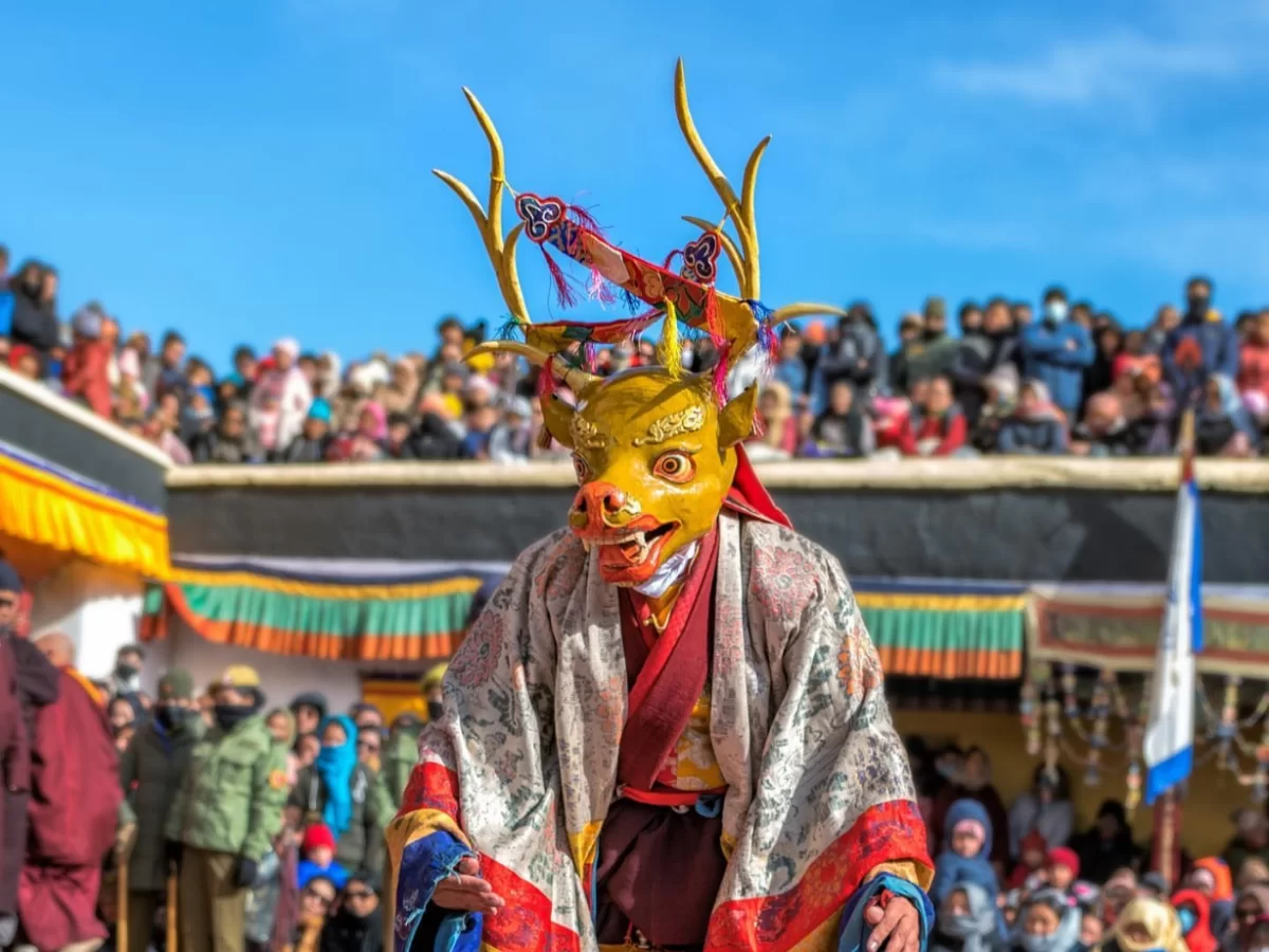Cham dancer in deer mask at Gustor Festival Spituk Monastery in Ladakh during sunny day, featuring brocade robes and crowd backdrop, perfect cultural adventure experience with Ladakh festival tour package.
