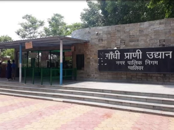  Gwalior Zoo in Madhya Pradesh featuring landscaped enclosures and shaded walking paths, a popular family attraction often included in Madhya Pradesh tour packages.