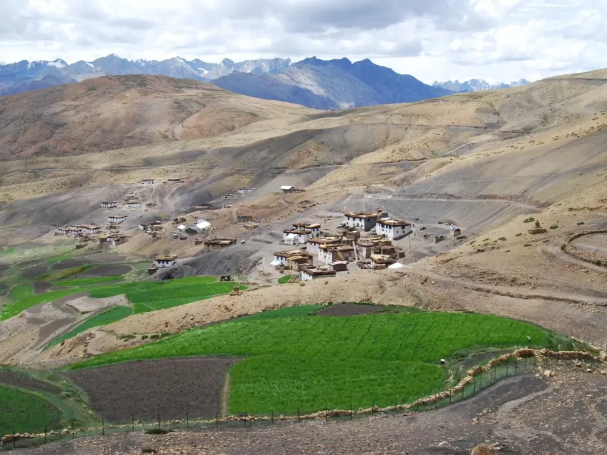 Hikkim Village Spiti near Kaza during cloudy skies, featuring white houses green paddy fields brown rocky hills snow mountains, perfect cultural experience Himachal tour package.