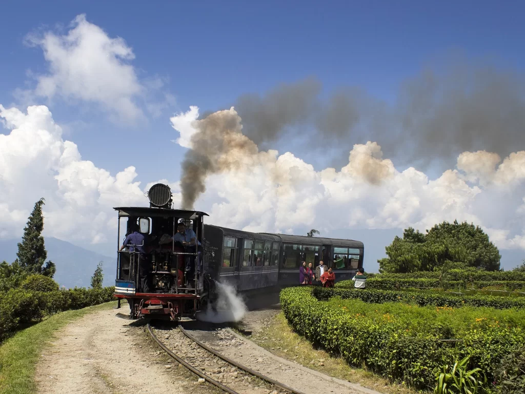 Darjeeling Himalayan Railway toy train in tea gardens during sunny daytime, featuring steam engine, green hills and blue sky, perfect Sikkim tour package