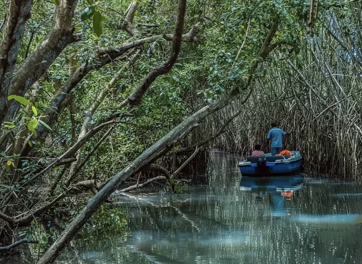 Speedboat safari in Mangrove Creeks at Baratang Island during serene daytime, featuring dense prop roots, turquoise waters, guide steering blue boat, perfect eco-adventure experience with Andaman Islands tour package