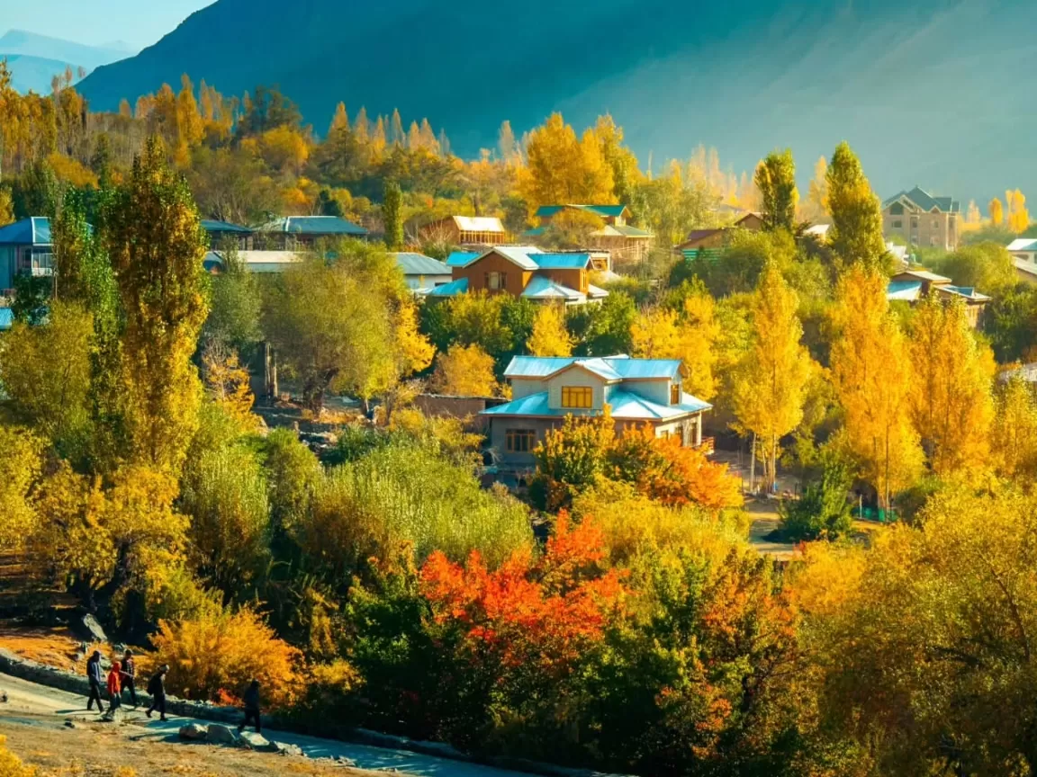 Autumn village at Kargil City during golden hour, featuring colorful fall trees, wooden houses, snow-capped mountains, perfect cultural experience with Ladakh Kargil tour package.