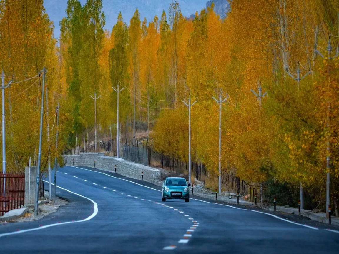 Autumn road at Kargil City during cloudy autumn, featuring golden poplar trees, winding highway, green car, perfect adventure experience with Ladakh Kargil tour package. 