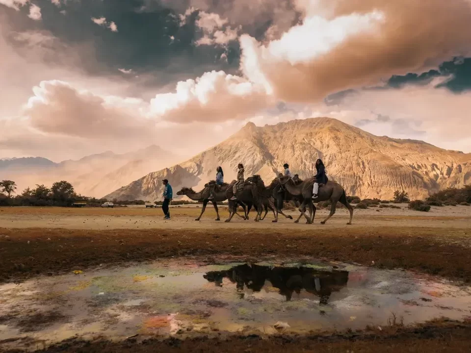 Camel safari procession dramatic sunset clouds rugged Ladakh mountains water reflection sand dunes Hunder Nubra Valley Diskit Leh tour package Bactrian camels adventure trekking highlight.