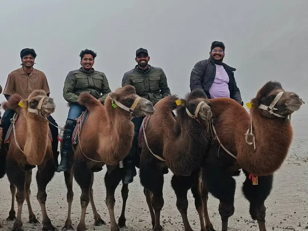 Group Indian tourists camel safari Hunder sand dunes Nubra Valley Ladakh Bactrian camels riders foggy weather perfect cold desert adventure Diskit Leh tour package trekking photography