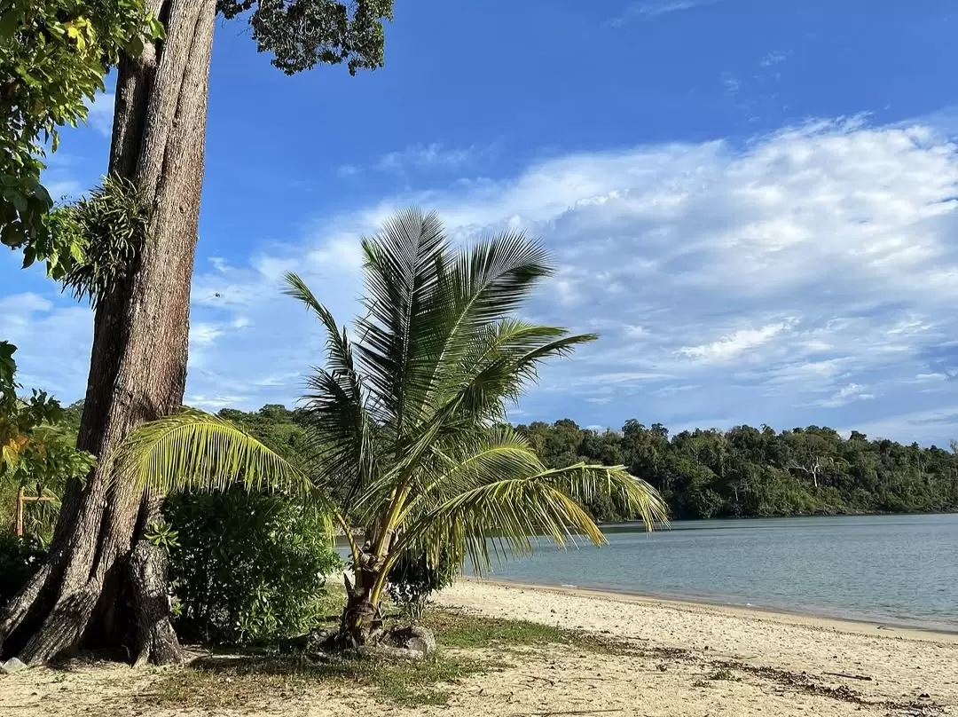 Palm trees at Corbyn's Cove Beach during partly cloudy day, featuring tropical trees, sandy shore, turquoise lagoon, perfect romantic experience with Andaman tour package